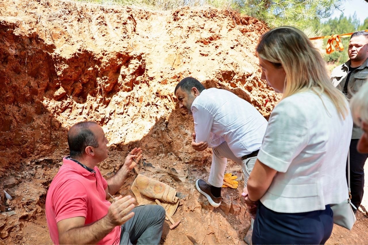 Milyonlarca yıllık fosil kalıntıları geçmişin karanlığına ışık tutuyor