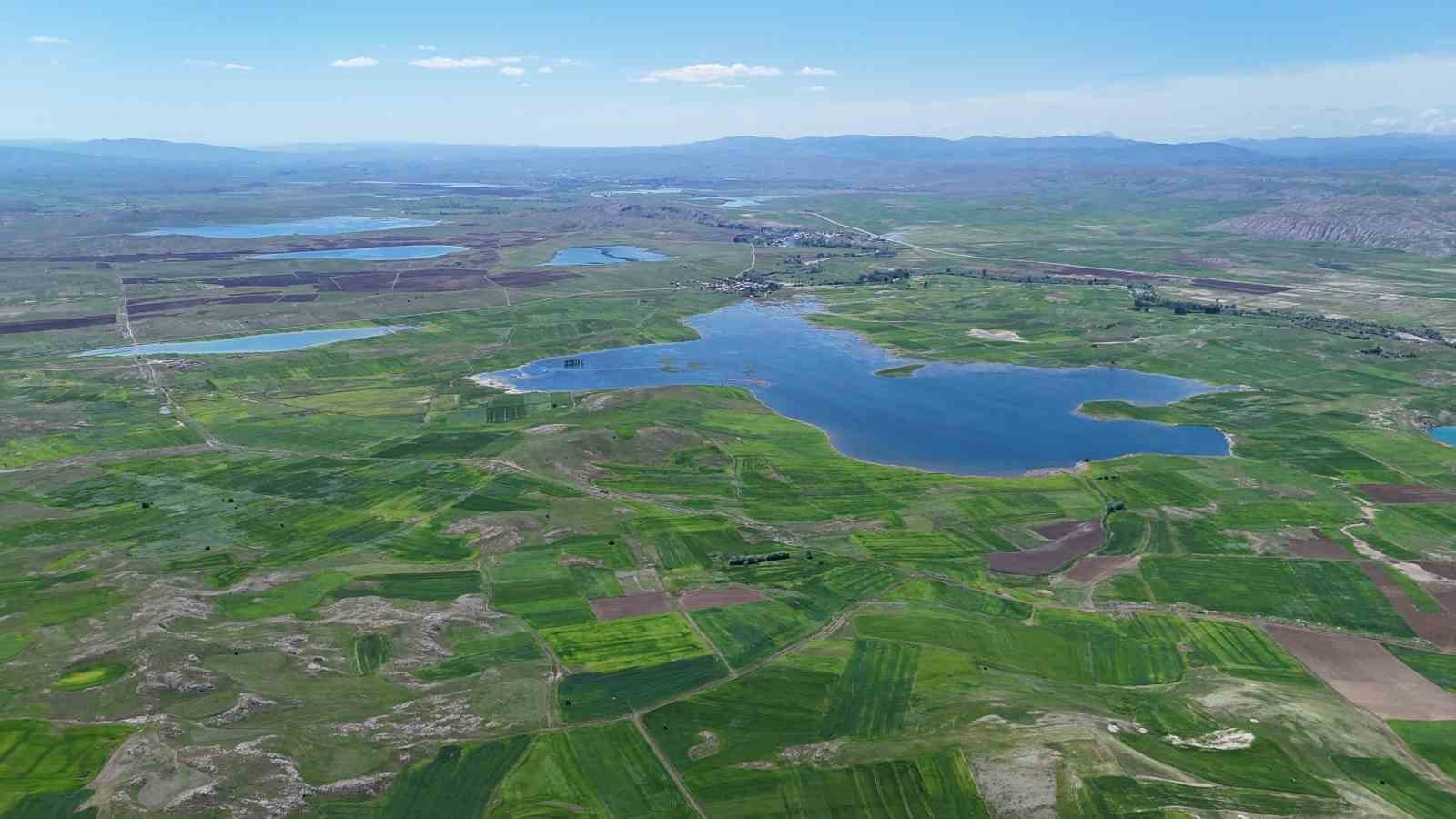 Binlerce dönüm tarım arazisi sular altında kaldı, uzmanı gelecek yıllar için çiftçileri uyardı