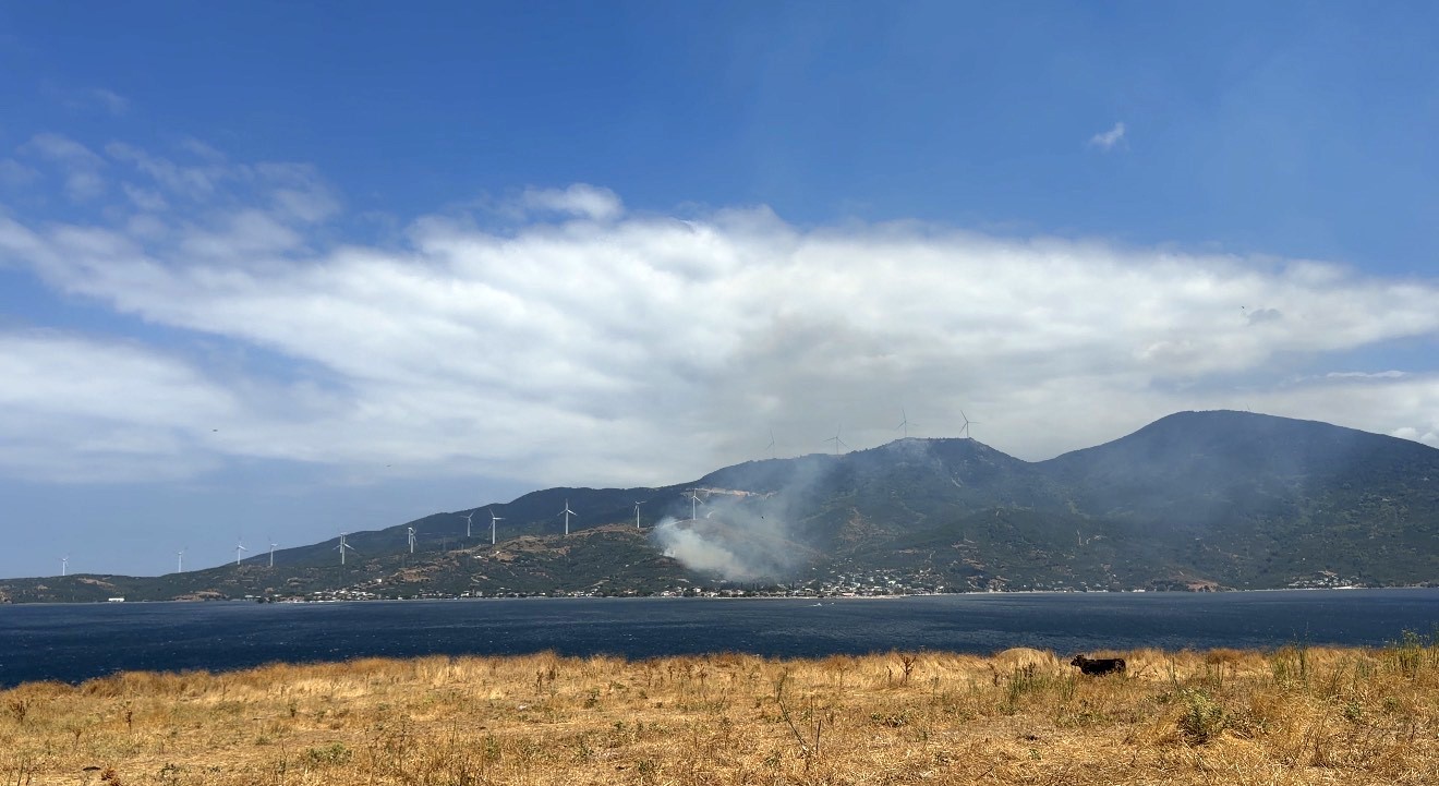 Marmara’da orman yangınına neden olan şüpheli gözaltına alındı