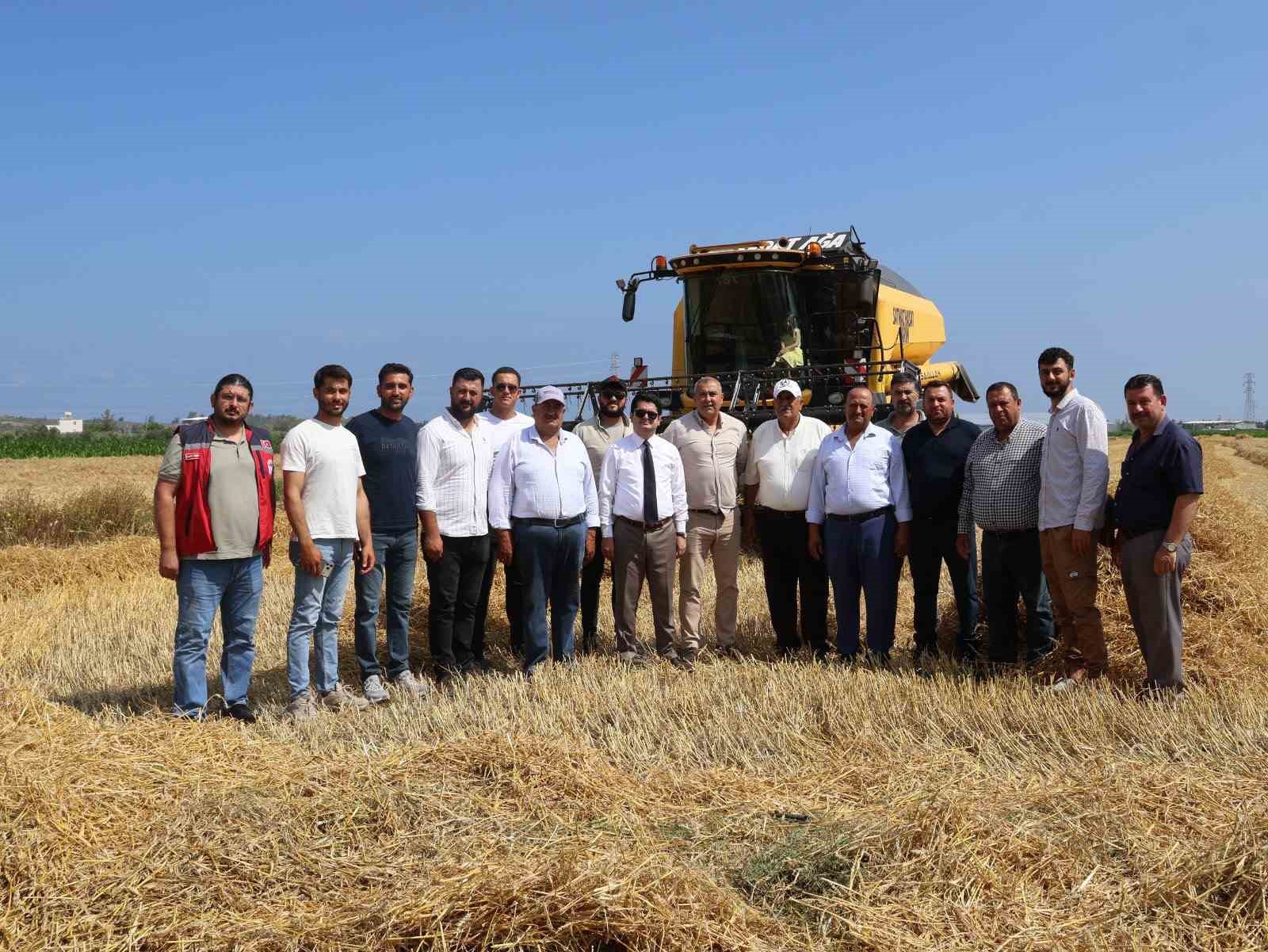 Arsuz&rsquo;da buğday hasadı devam ediyor