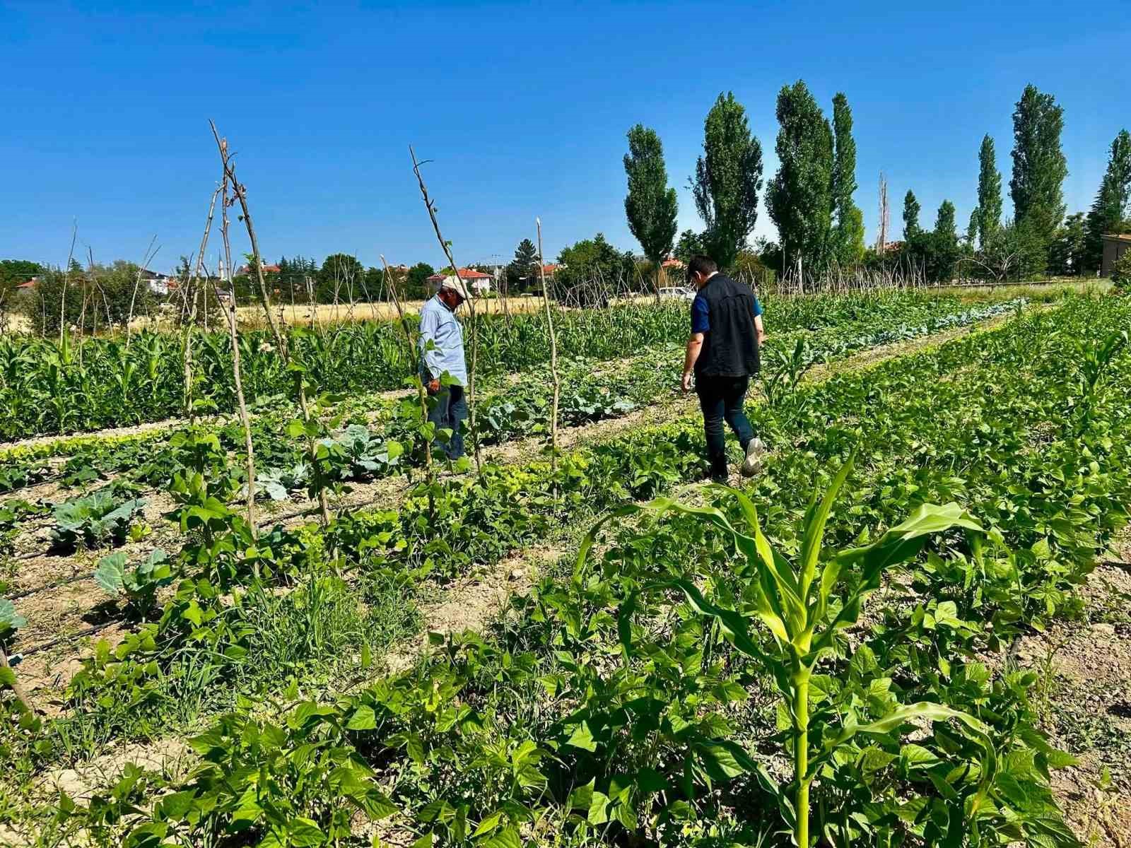 Sebze üretim alanlarında kontroller sürüyor