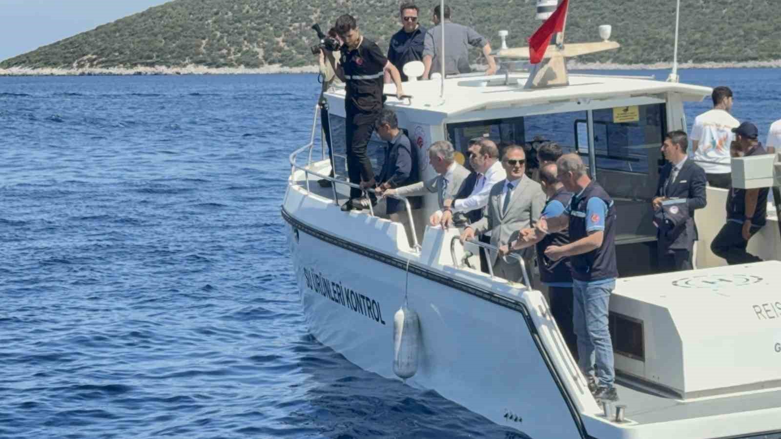 Bodrum&rsquo;da 2 bin metrekare hayalet ağ temizlendi, binlerce yavru balık doğaya bırakıldı