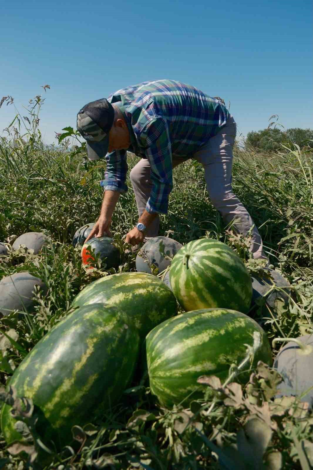 Sözleşme yaptığı firma ürünü almayınca 20 milyon lira zarar etti