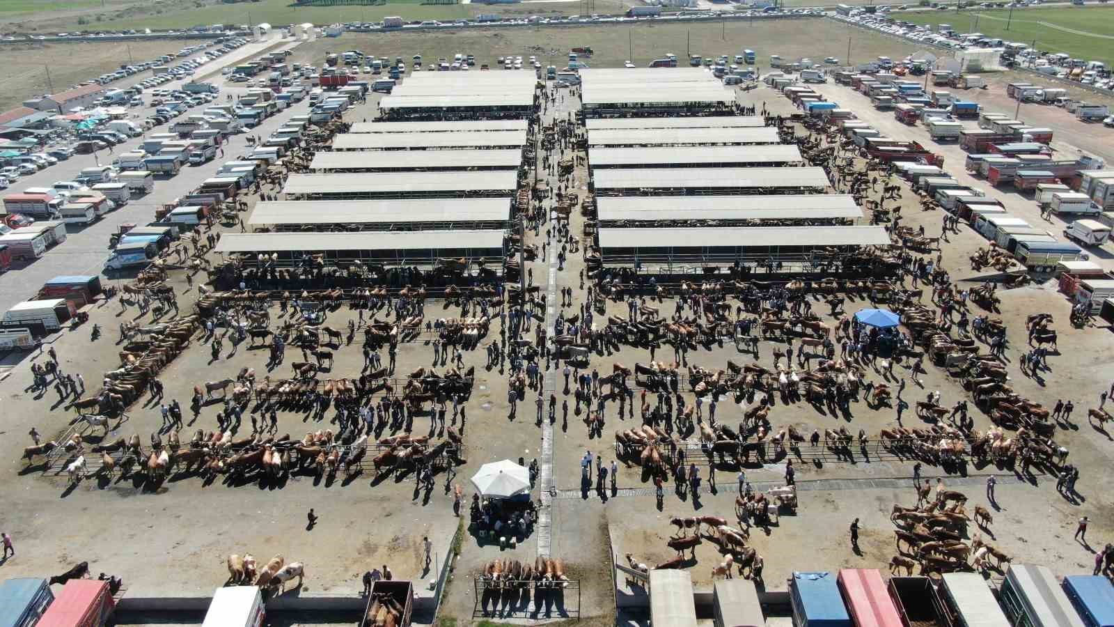 İç Anadolu Bölgesi’nin en büyük hayvan pazarı geçici olarak kapatıldı
