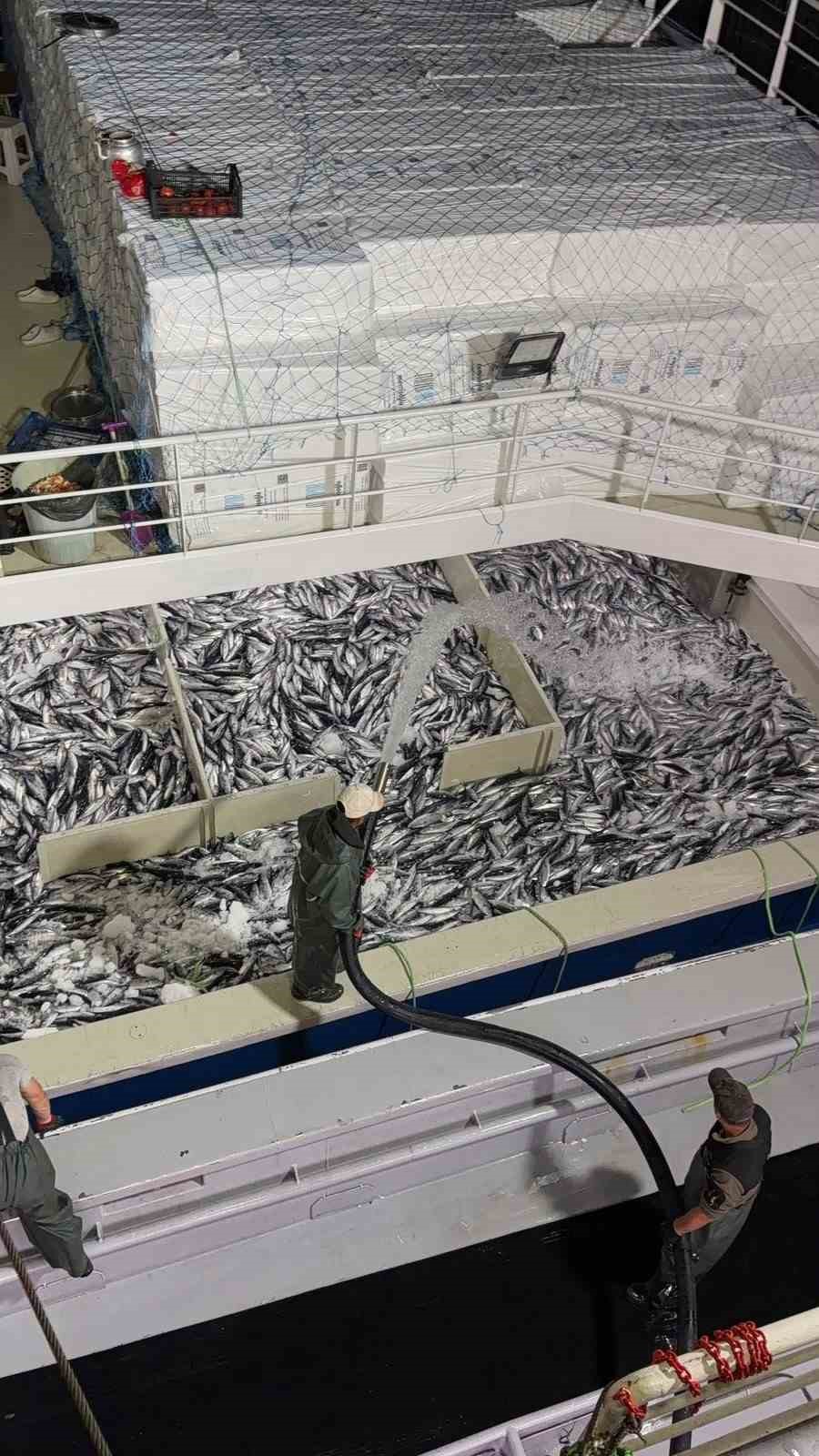 Trabzon&rsquo;da palamut bereketi: 1 Eyl&uuml;l&rsquo;den bu yana bin 300 ton palamut avlandı