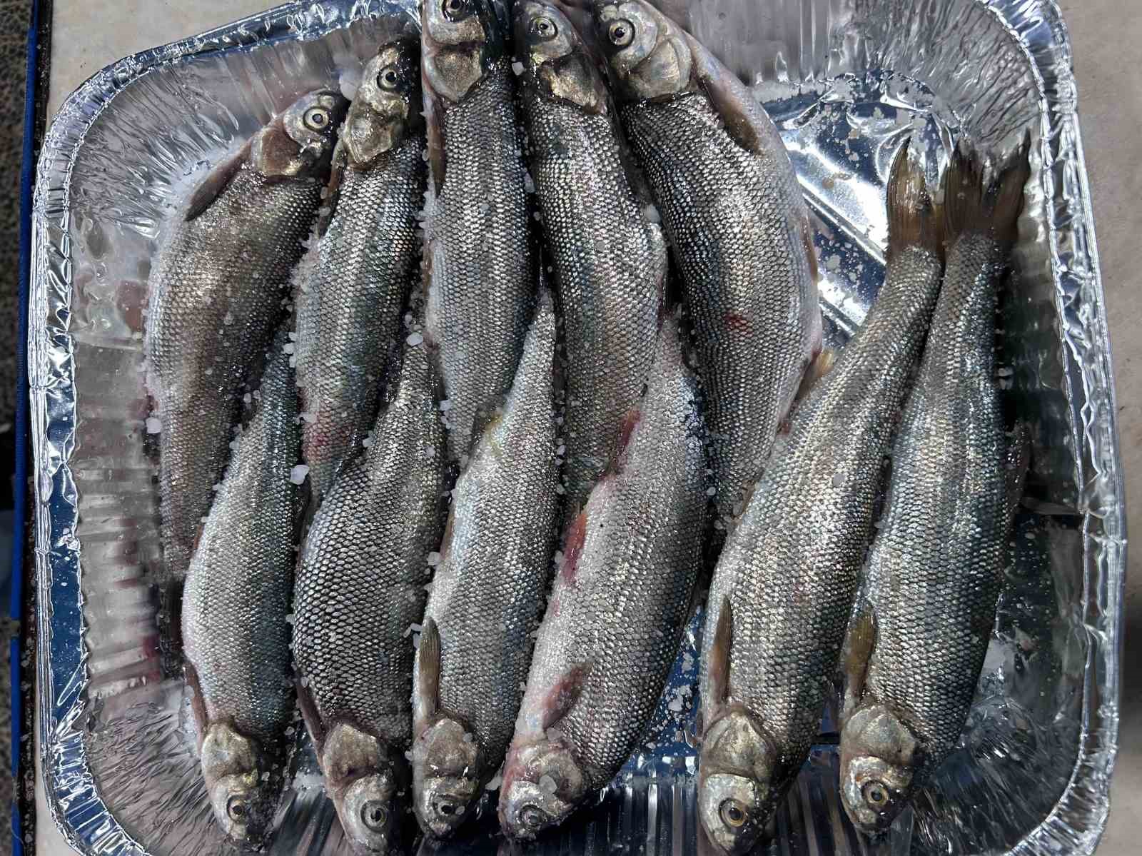 İnci kefali tezgâhlardaki yerini aldı