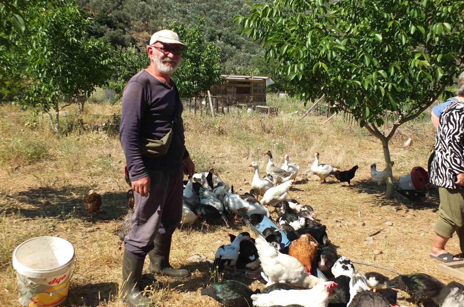 Balıkesir&rsquo;de emekli muhasebeci başarılı &uuml;retici oldu