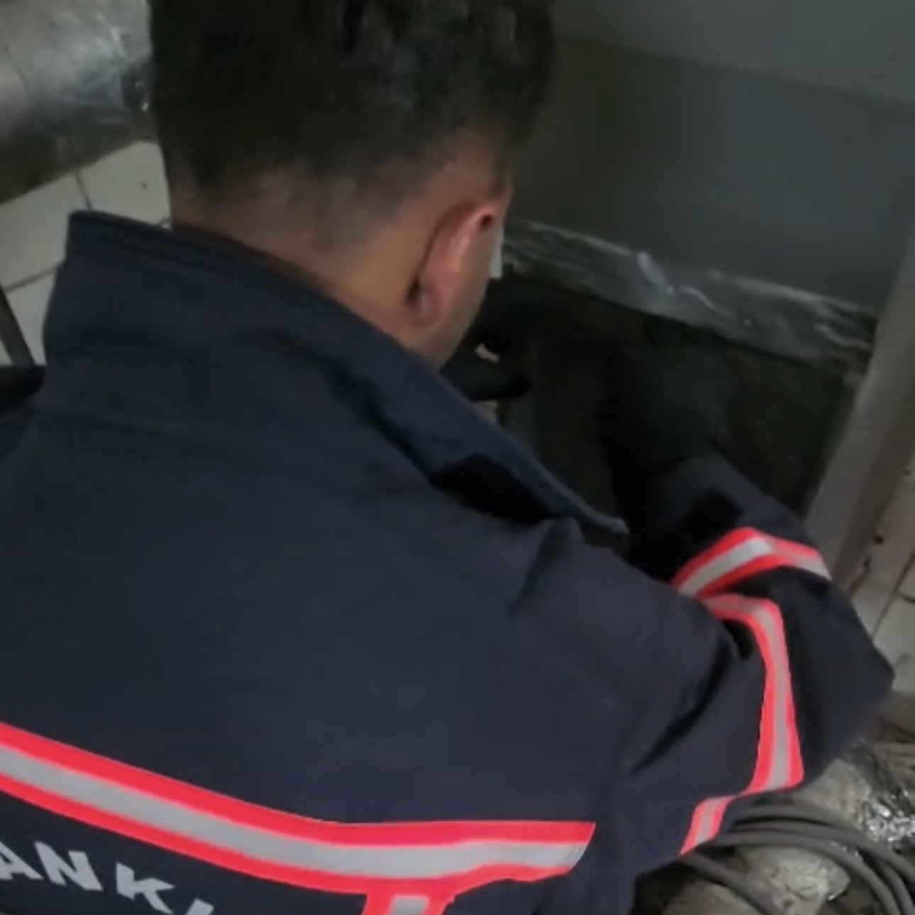 Havalandırma boşluğunda mahsur kalan kedileri itfaiye kurtardı