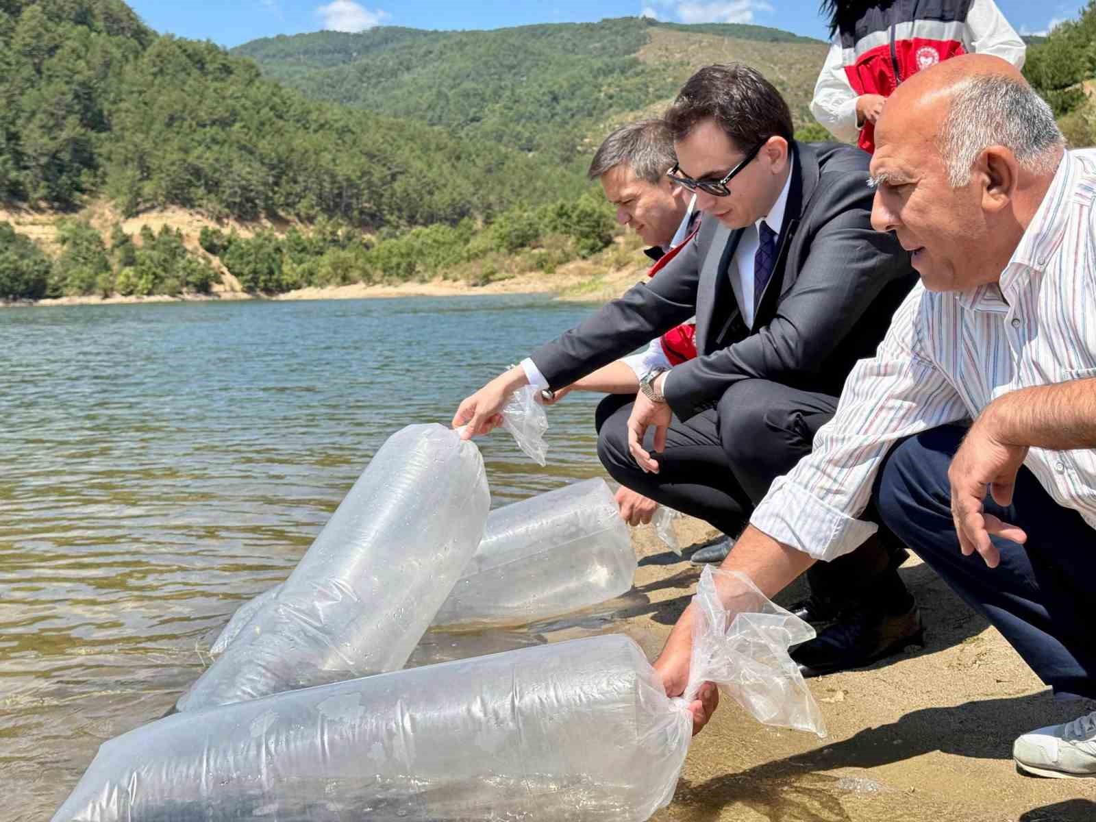 Hisarcık Hasanlar Barajı’na 80 bin sazan yavrusu bırakıldı