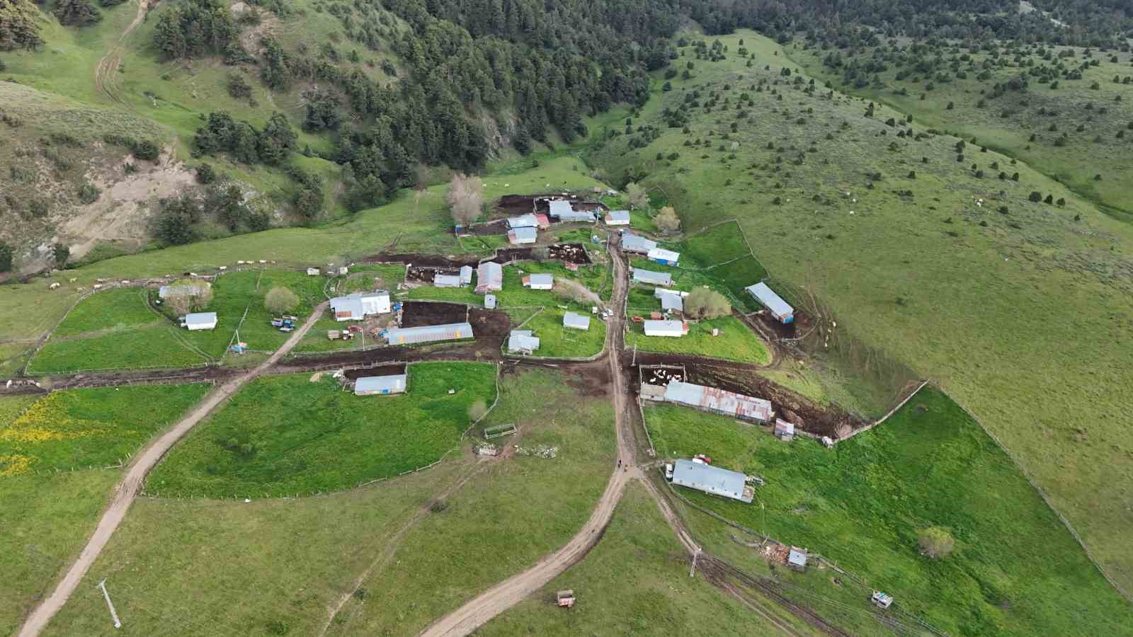 Dedelerinden kalan mirası yaşatıyorlar: Yaylada hayat başladı