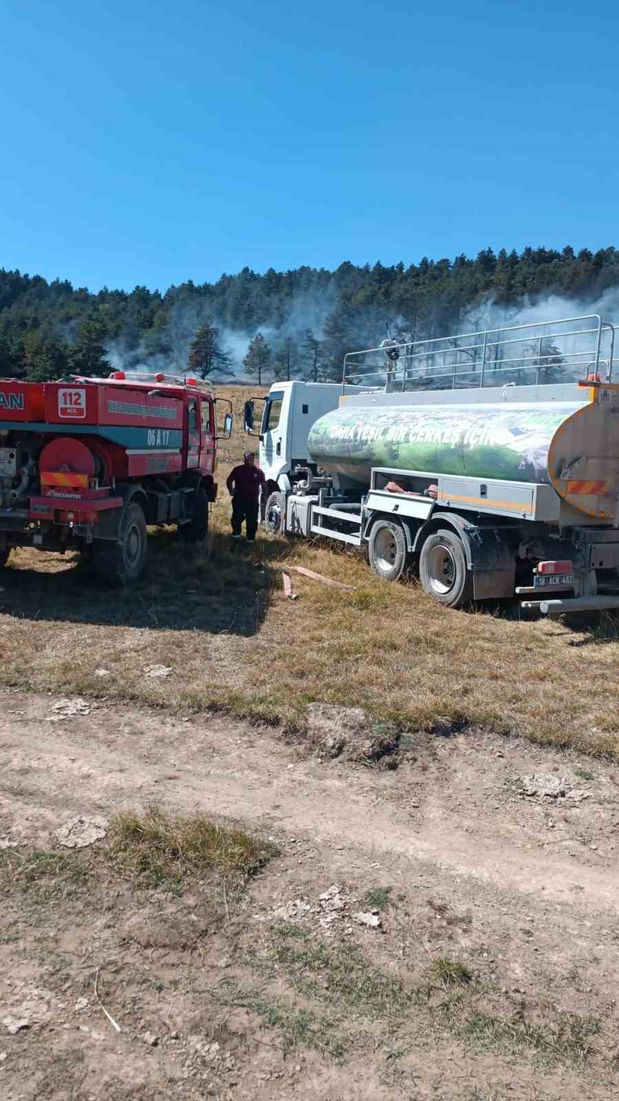 &Ccedil;ankırı-Ankara sınırındaki orman yangınına havadan ve karadan m&uuml;dahale ediliyor
