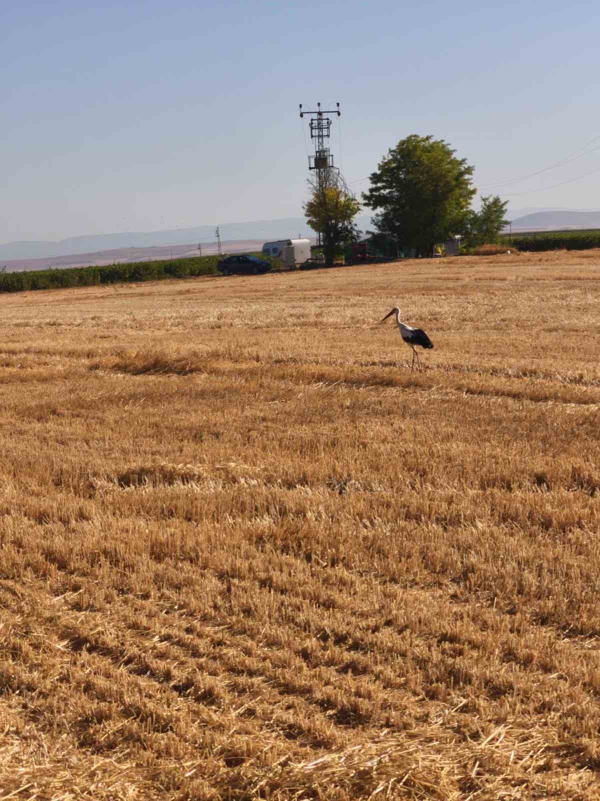 Elektrik akımına kapılan eşinin başından 5 g&uuml;n ayrılmadı