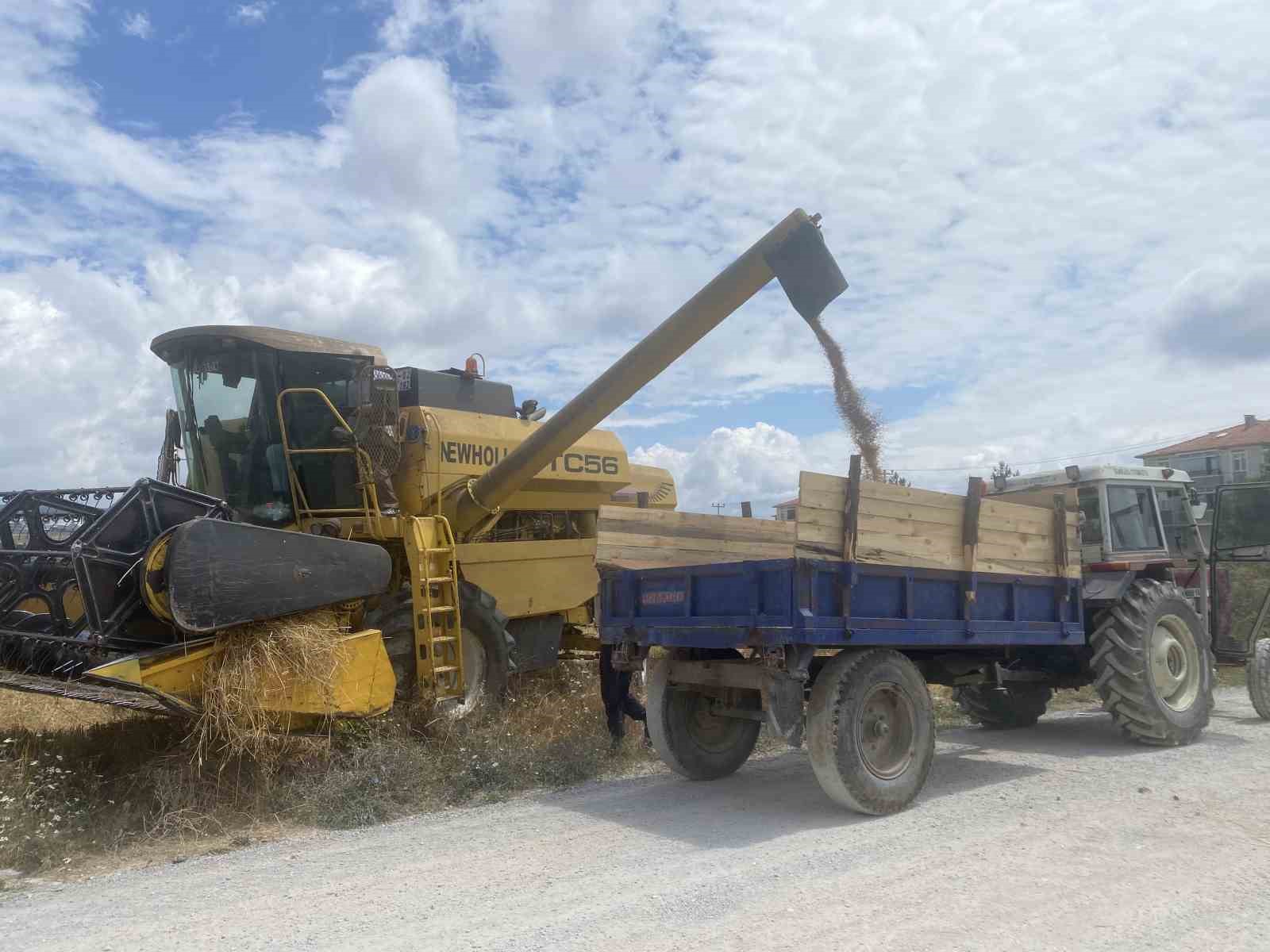 Hububat hasadı: Yağışlar buğdayı etkiledi, arpada verim yüz güldürdü
