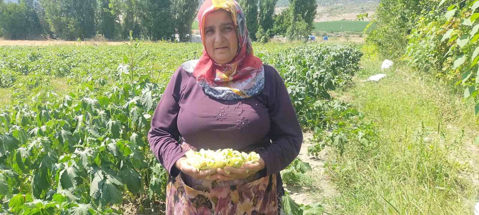 Aracı yok, doğallık var: Çiftçi hem üretiyor hem satıyor