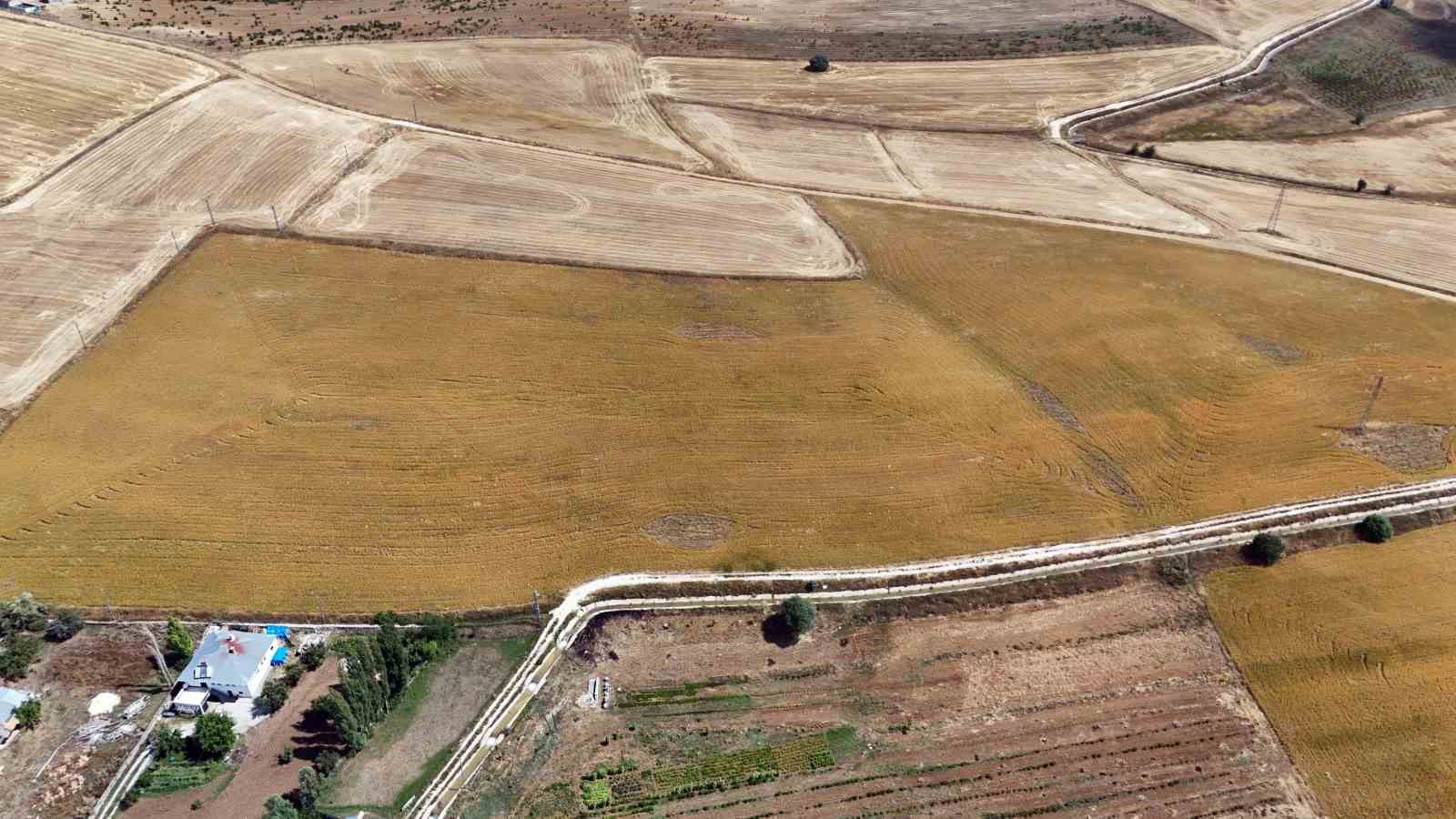 35 yıl kamuda &ccedil;alıştı, emekli olunca aspir ekimine başladı