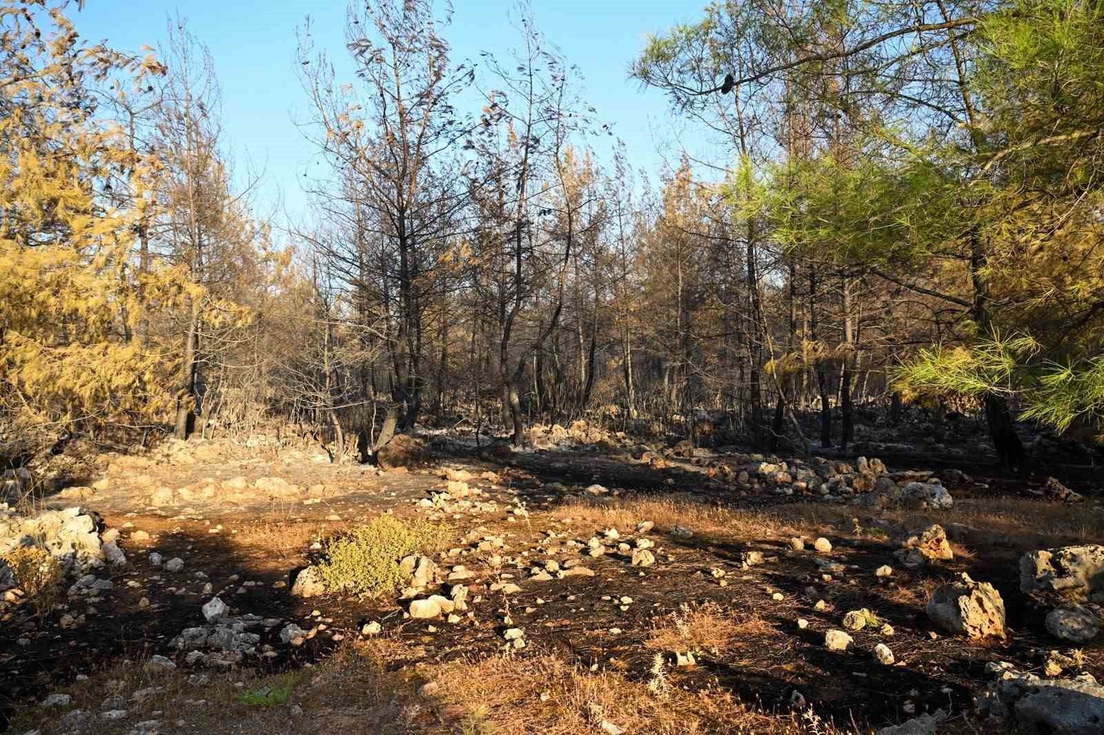 Antalya Aksu’daki orman yangını 4’üncü günde kontrol altına alındı
