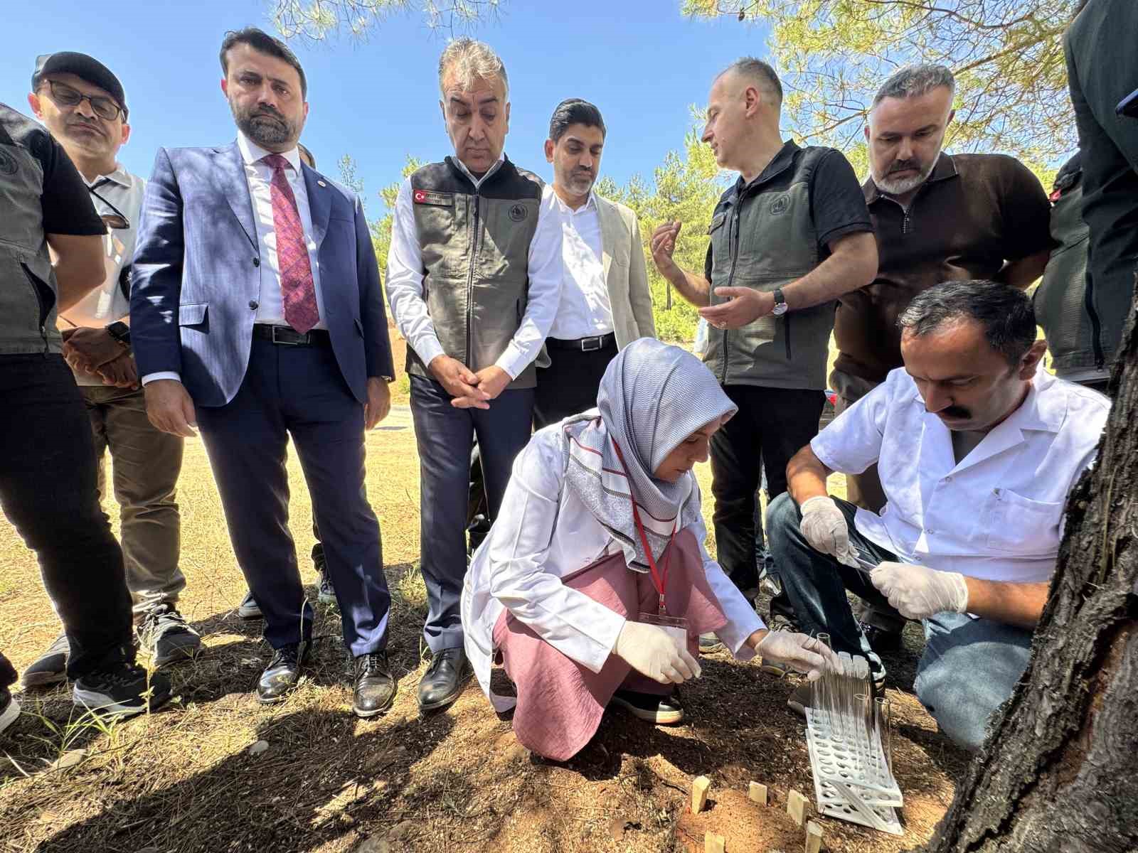 Orman yangınlarına karşı m&uuml;cadelede dağıtılan su tankeri sayısı 164&rsquo;e ulaştı