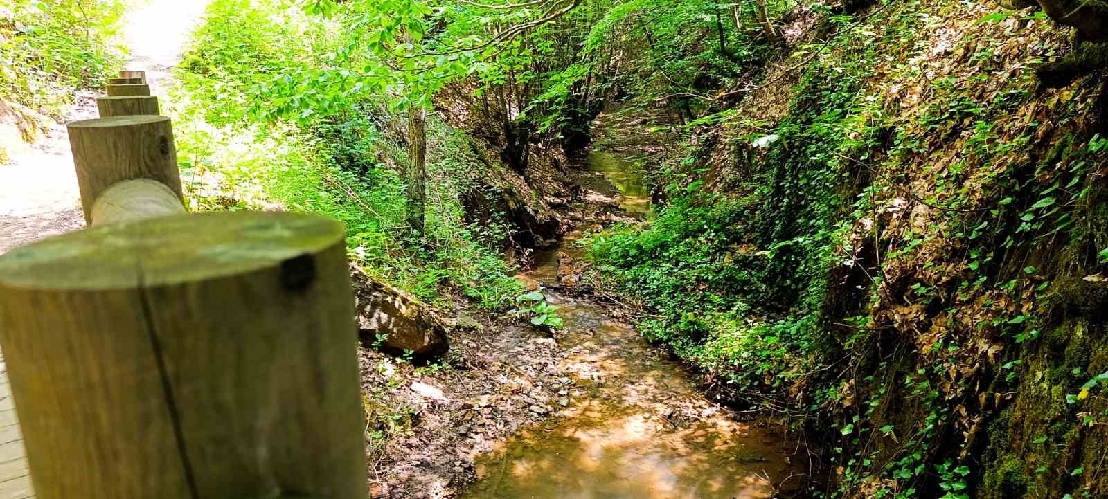 Bölgenin gözde tabiat parkı ziyaretçi akınına uğruyor