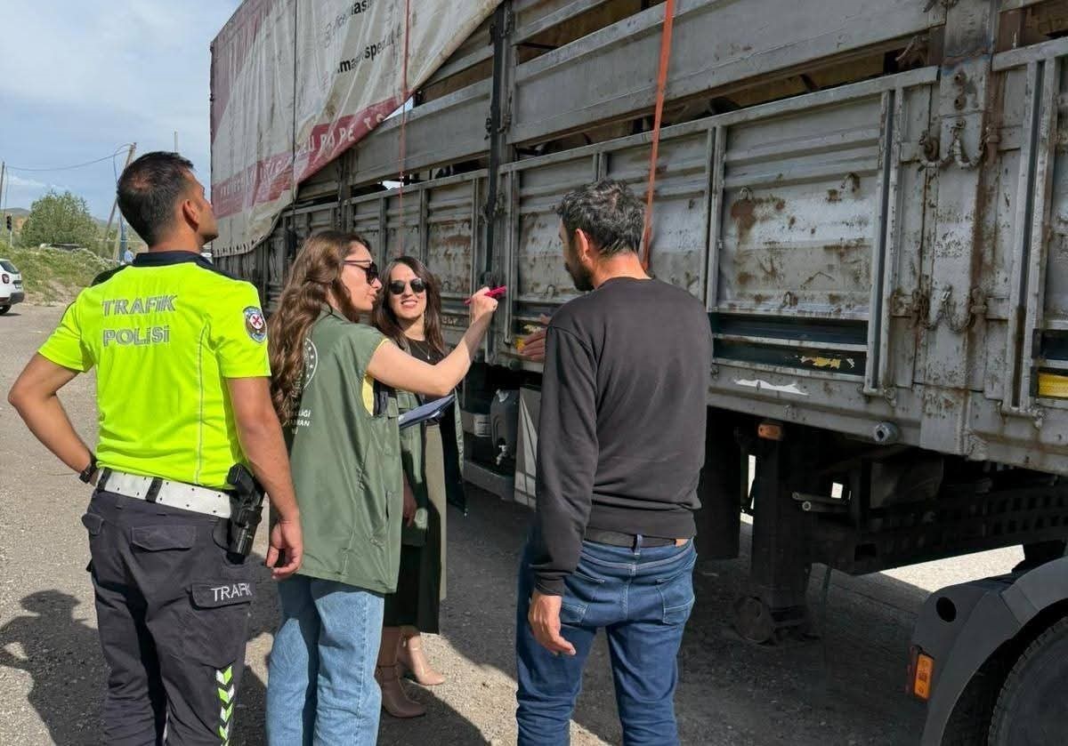 Tercan&rsquo;da kurbanlık hayvan sevkiyatlarına sıkı denetim