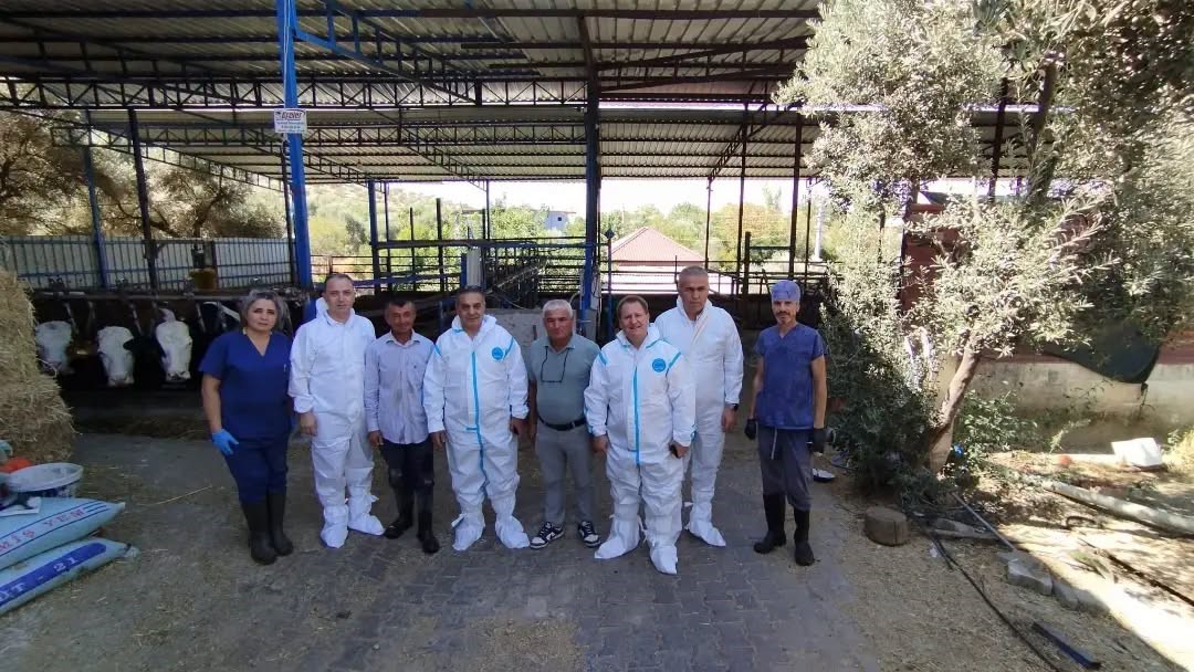 Aydın&rsquo;da sonbahar şap aşısı kampanyası başladı