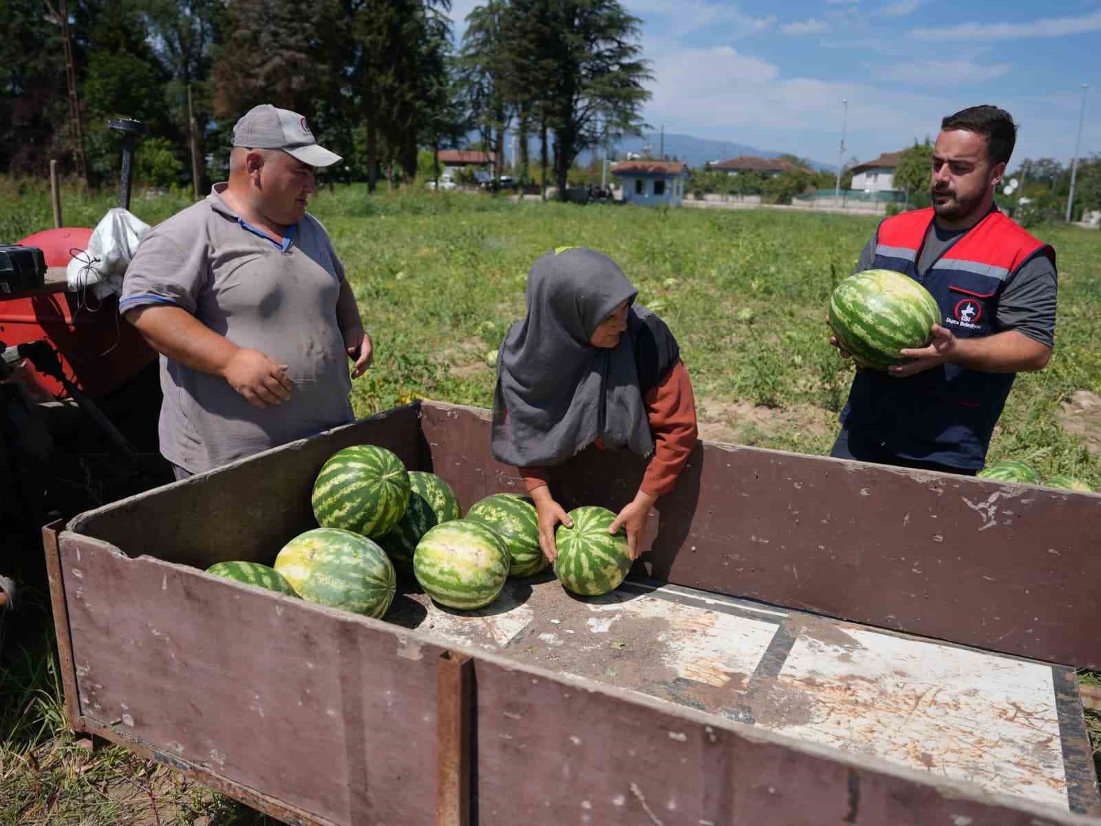 Ata tohumundan üretildi, ihtiyaç sahiplerine ulaştırıldı