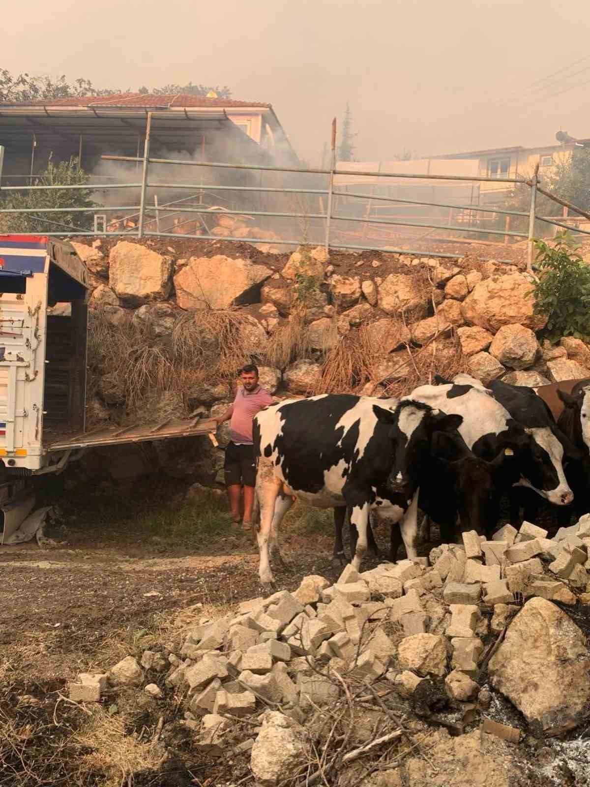 Seydikemer ve Fethiye’de alevlere karşı ortak mücadele