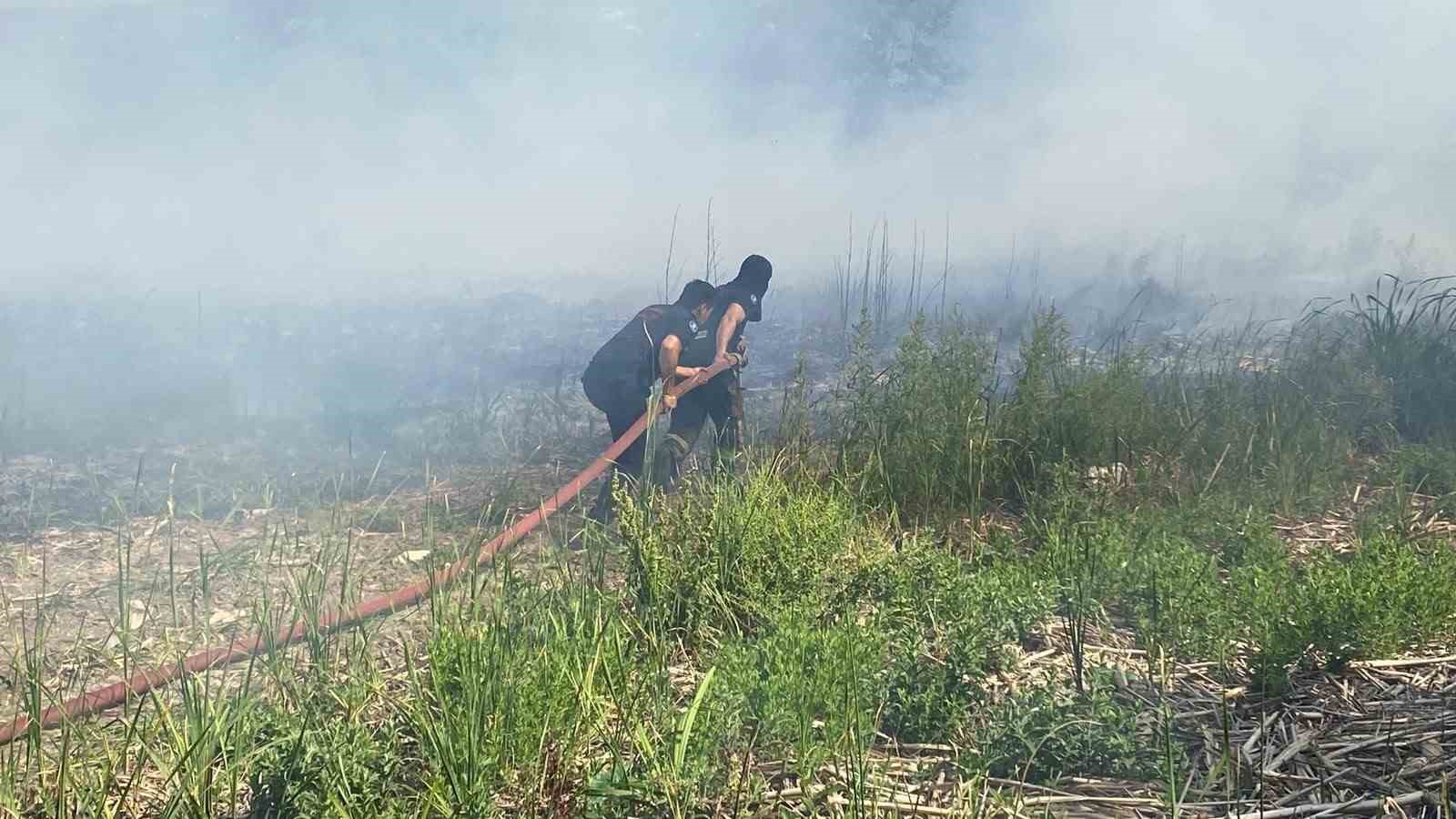 Kocaeli’de çıkan sazlık yangınında 10 dönüm alan zarar gördü