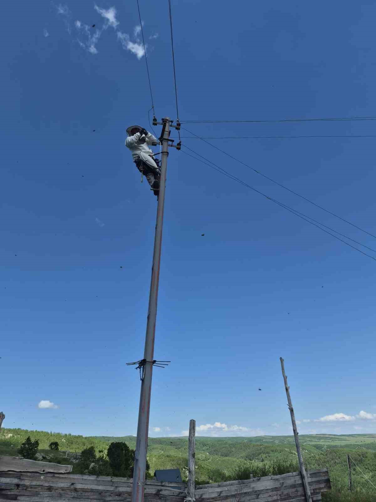 Aras elektrik ekipleri arıcı koruyucu kıyafetiyle m&uuml;dahale ediyor