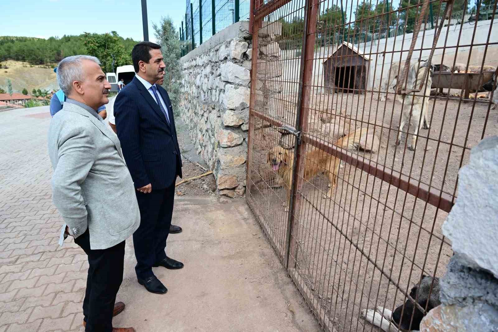 Başkan Taşkın, hayvan barınağında incelemelerde bulundu