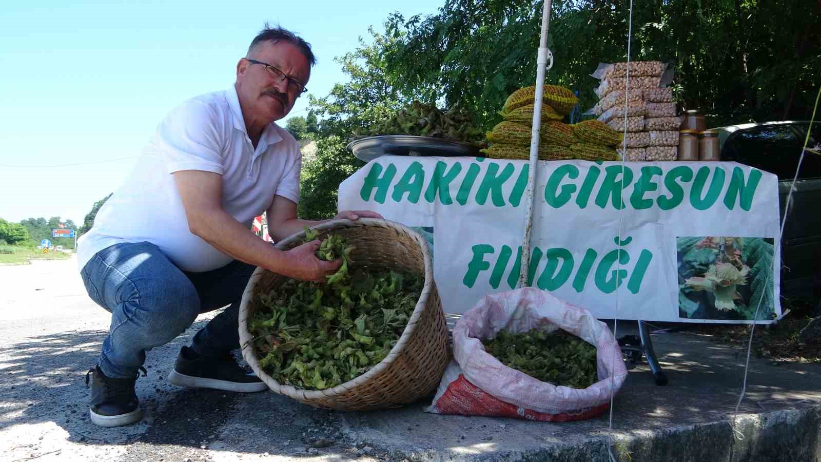 Yeni sezonun ilk fındığı tezgahlarda: Yeşil kabuklu fındığın kilosu 200 TL