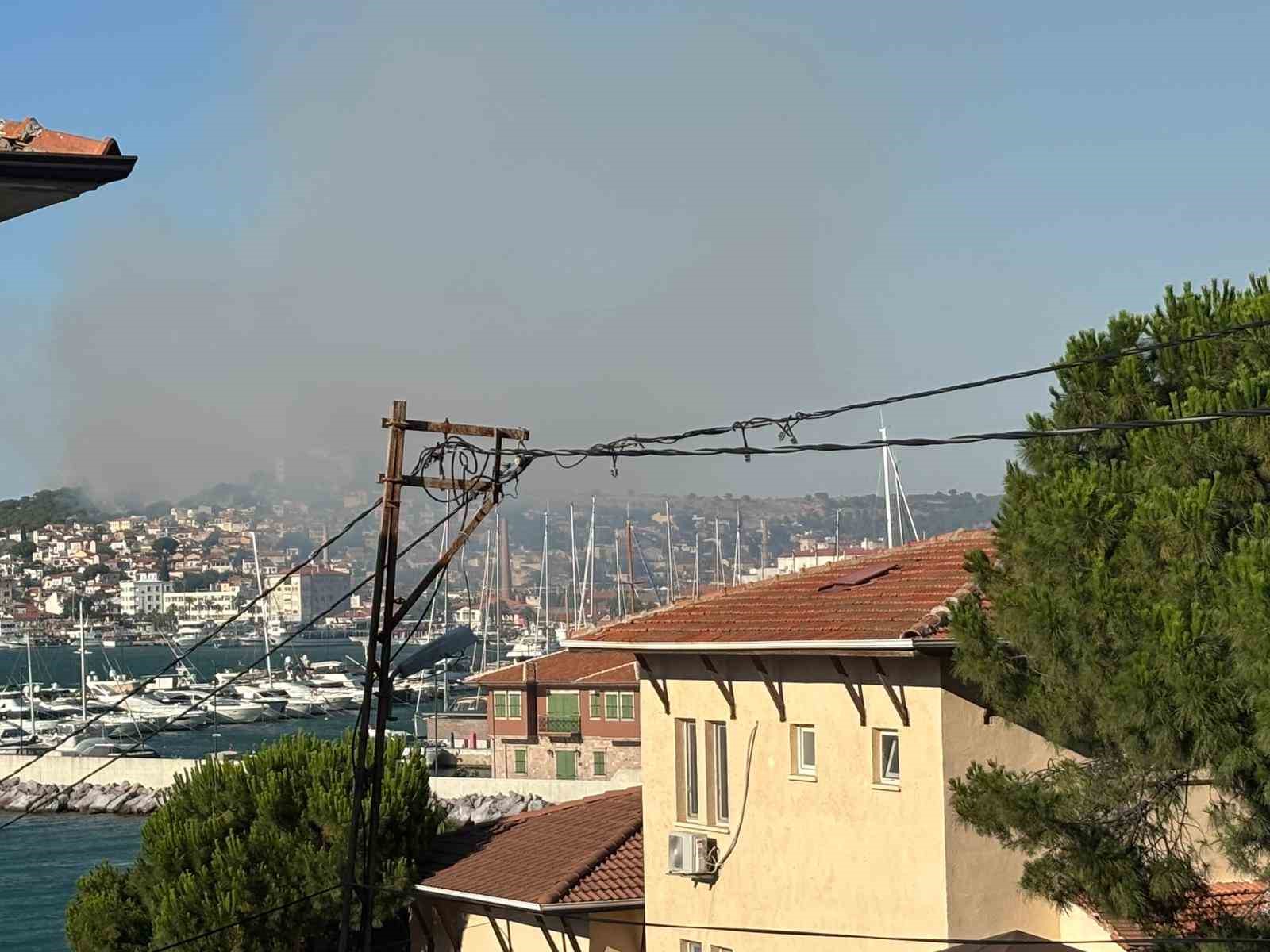 Balıkesir Ayvalık&rsquo;ta &ccedil;ıkan &ouml;rt&uuml; yangını kontrol altına alındı