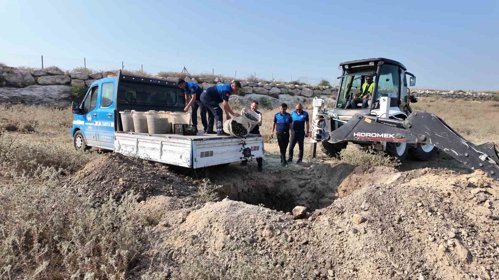 Mersin&rsquo;de 200 kilo bozuk midye dolması ele ge&ccedil;irildi