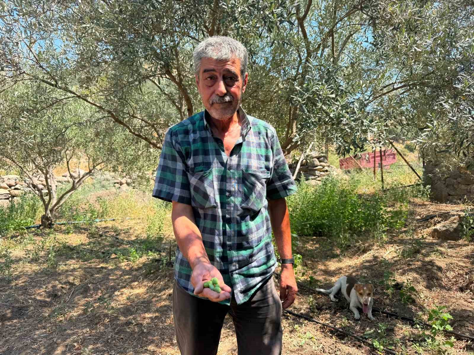 Menemen’de su hasreti çeken Ayvacık köyüne asırlık hizmet