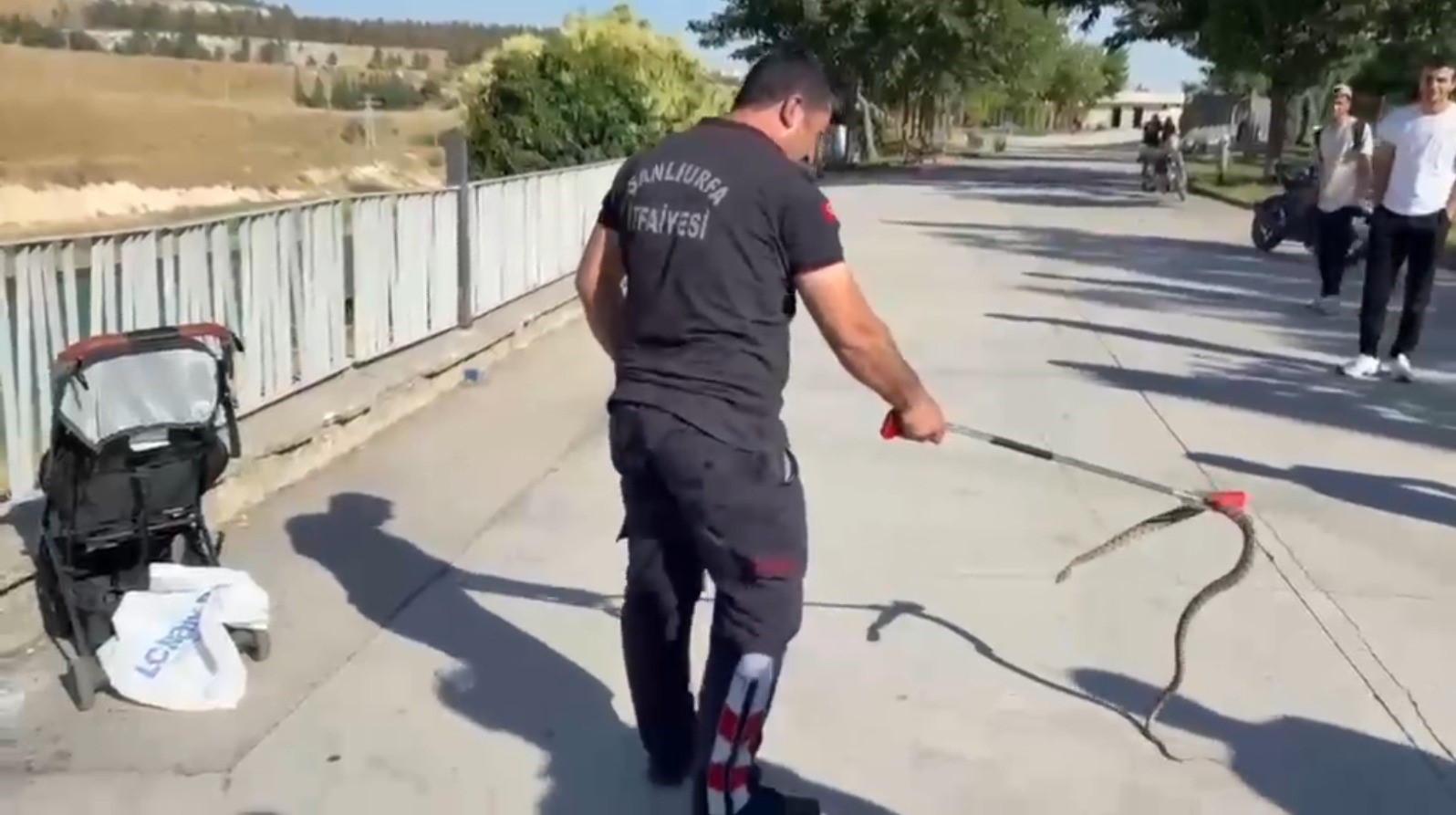 Şanlıurfa’da ağaçtan bebek arabasına yılan düştü