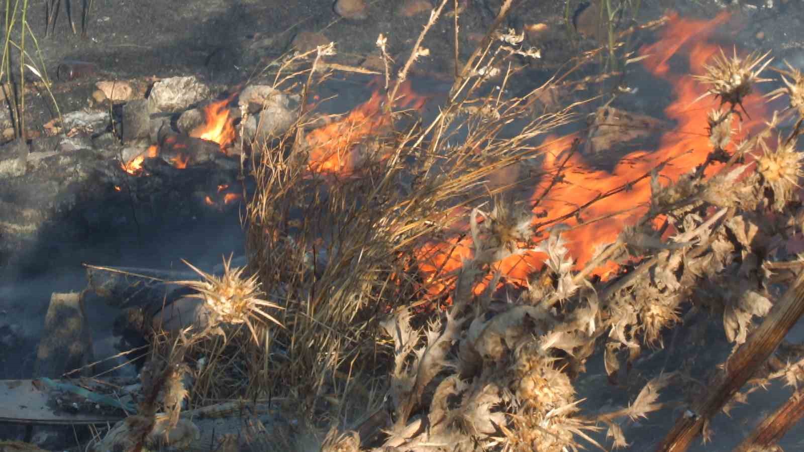 Burhaniye&rsquo;de Karınca Deresinde &ccedil;ıkan ot yangını 3 saatte s&ouml;nd&uuml;r&uuml;ld&uuml;