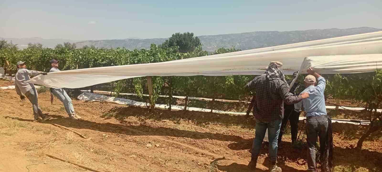 Sarıg&ouml;l Ovası beyaza b&uuml;r&uuml;nmeye başladı