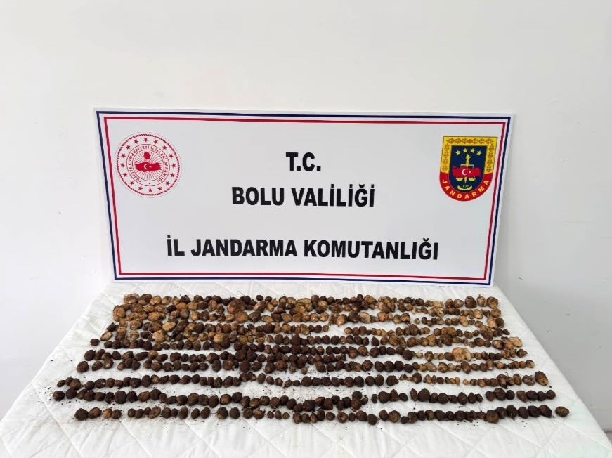 Bolu&rsquo;da 2 milyon liralık salep cezasına isyan edip &ccedil;atıya &ccedil;ıktı