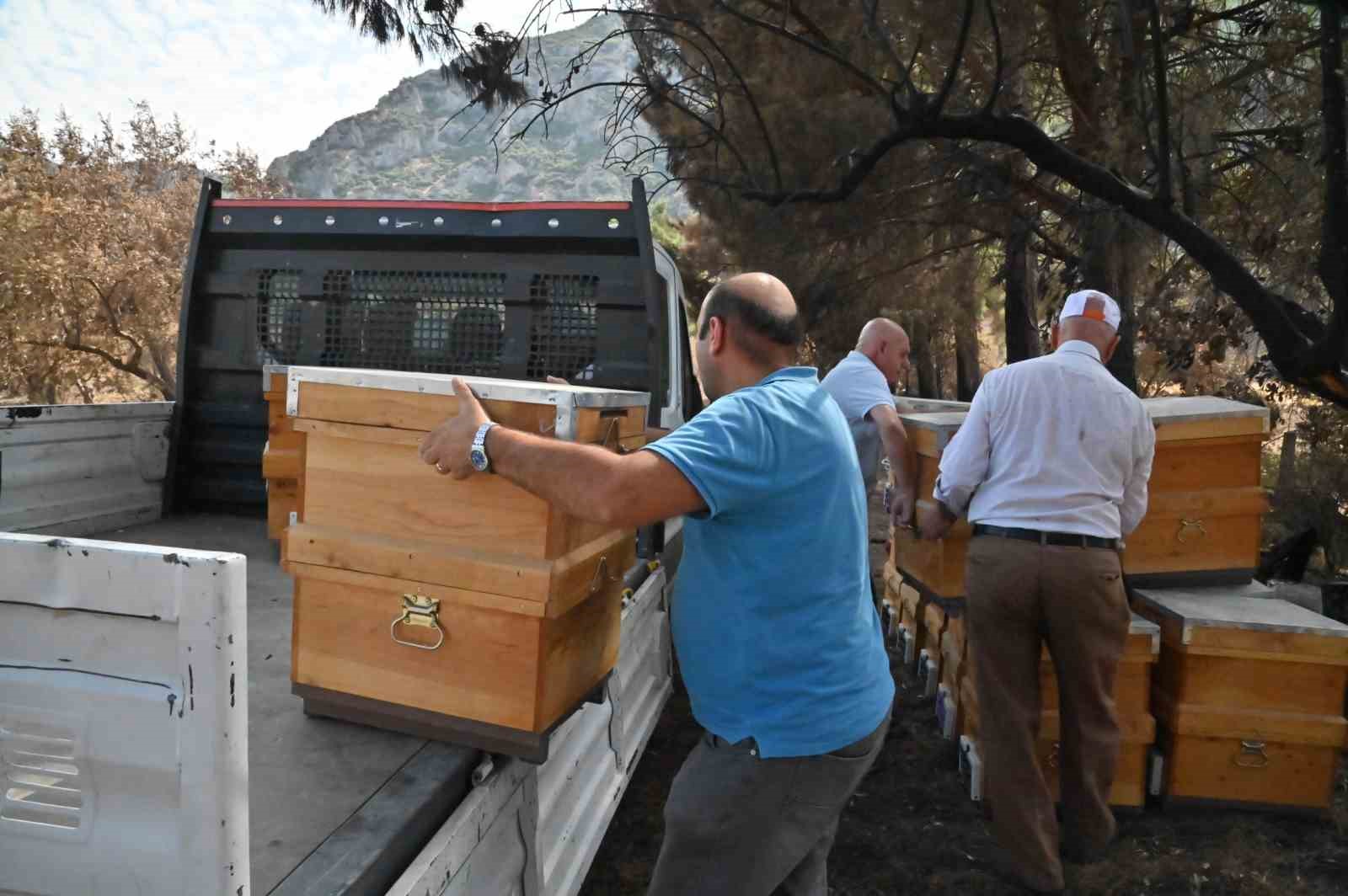 Yangında kovanları zarar gören arıcıya destek