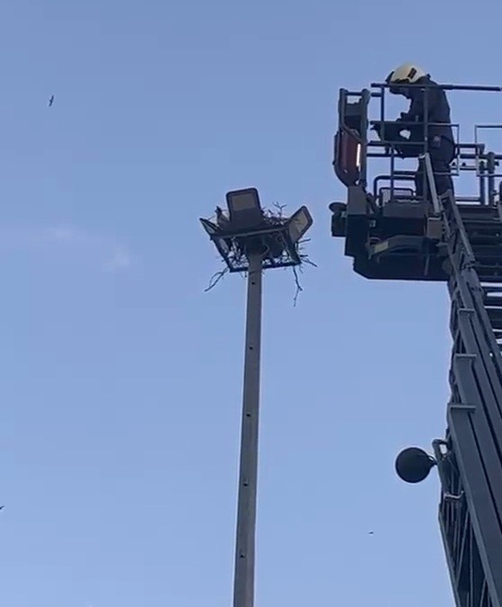 Engelli vatandaşlardan ve itfaiyeden yavru kargaya şefkat eli