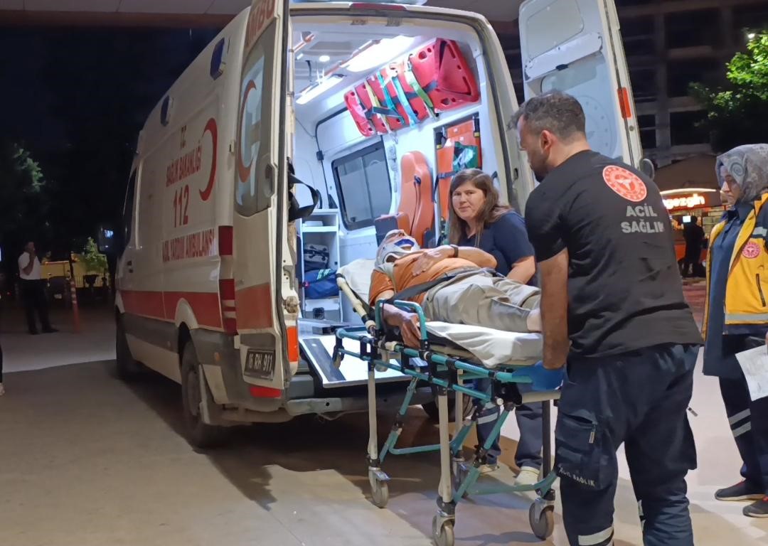 Erik toplamak için çıktığı ağaçtan düşerek yaralandı