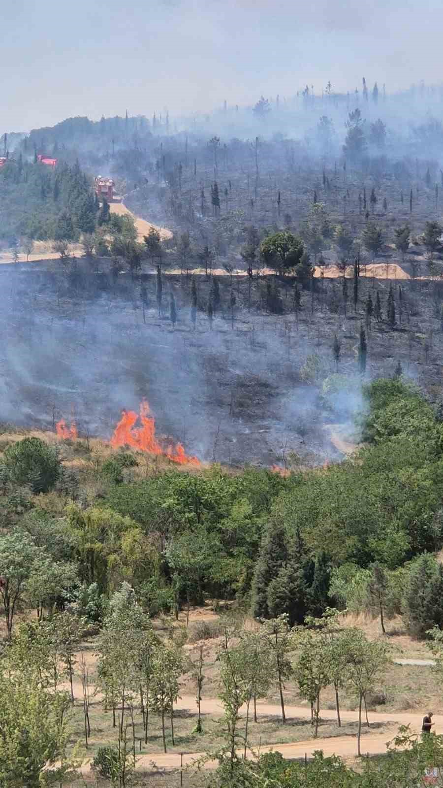 Kocaeli’deki orman yangını havadan ve karadan müdahaleyle söndürüldü