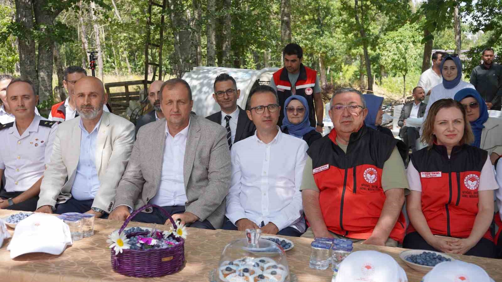 İznik’te Maviyemiş Hasadı Başladı