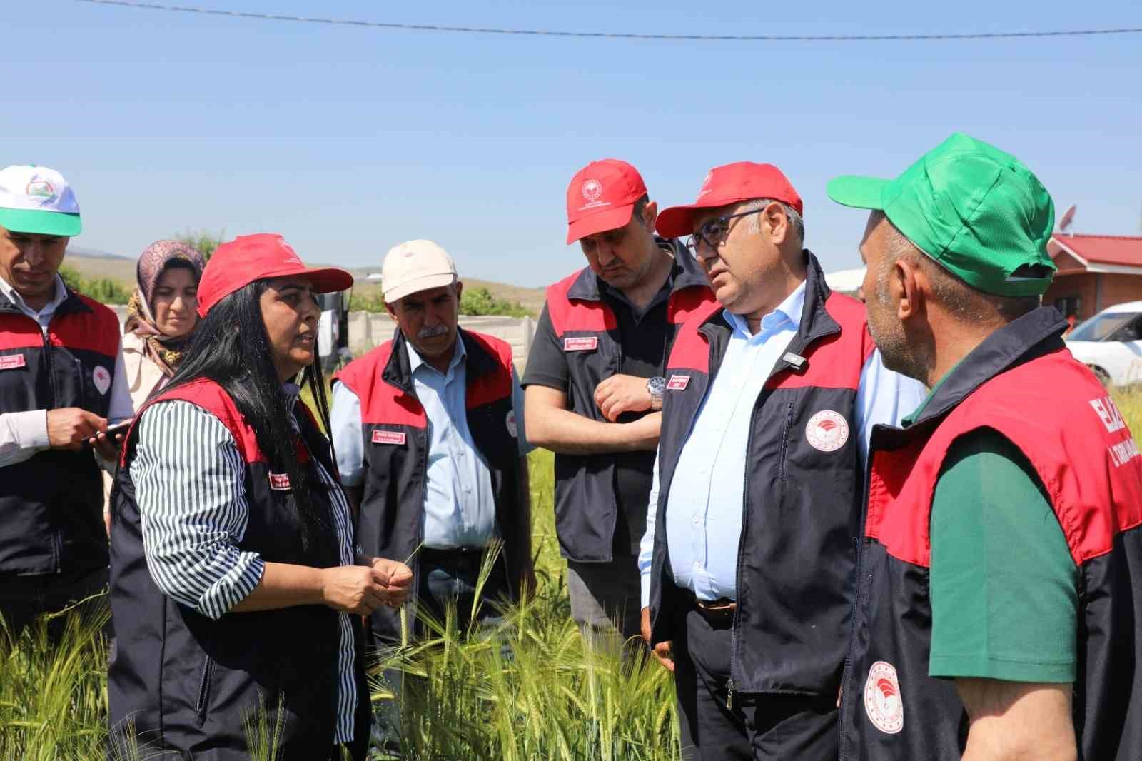Elazığ’da süne sürveyi ve CBS çalışmaları sahada değerlendirildi