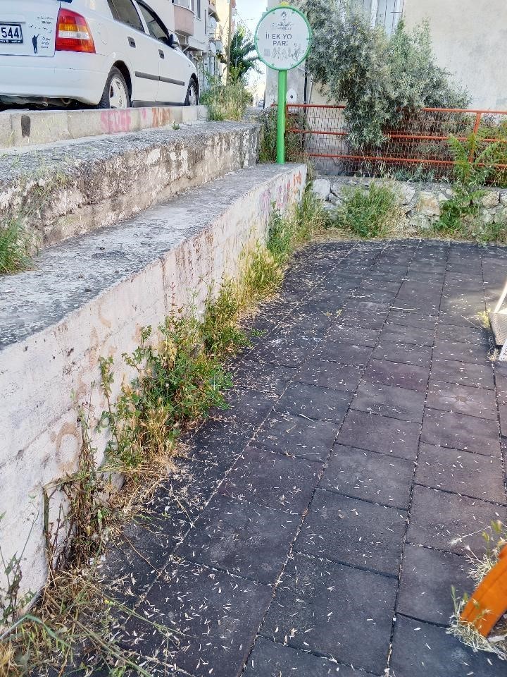 Otluk alana dönen bu park bakım ve temizlik bekliyor