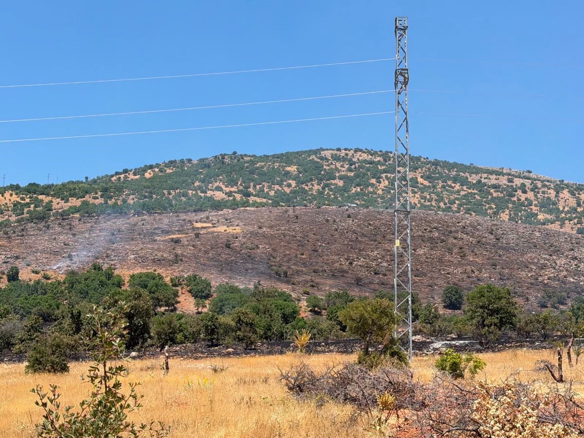 Kemaliye’deki arazi yangını kontrol altına alındı
