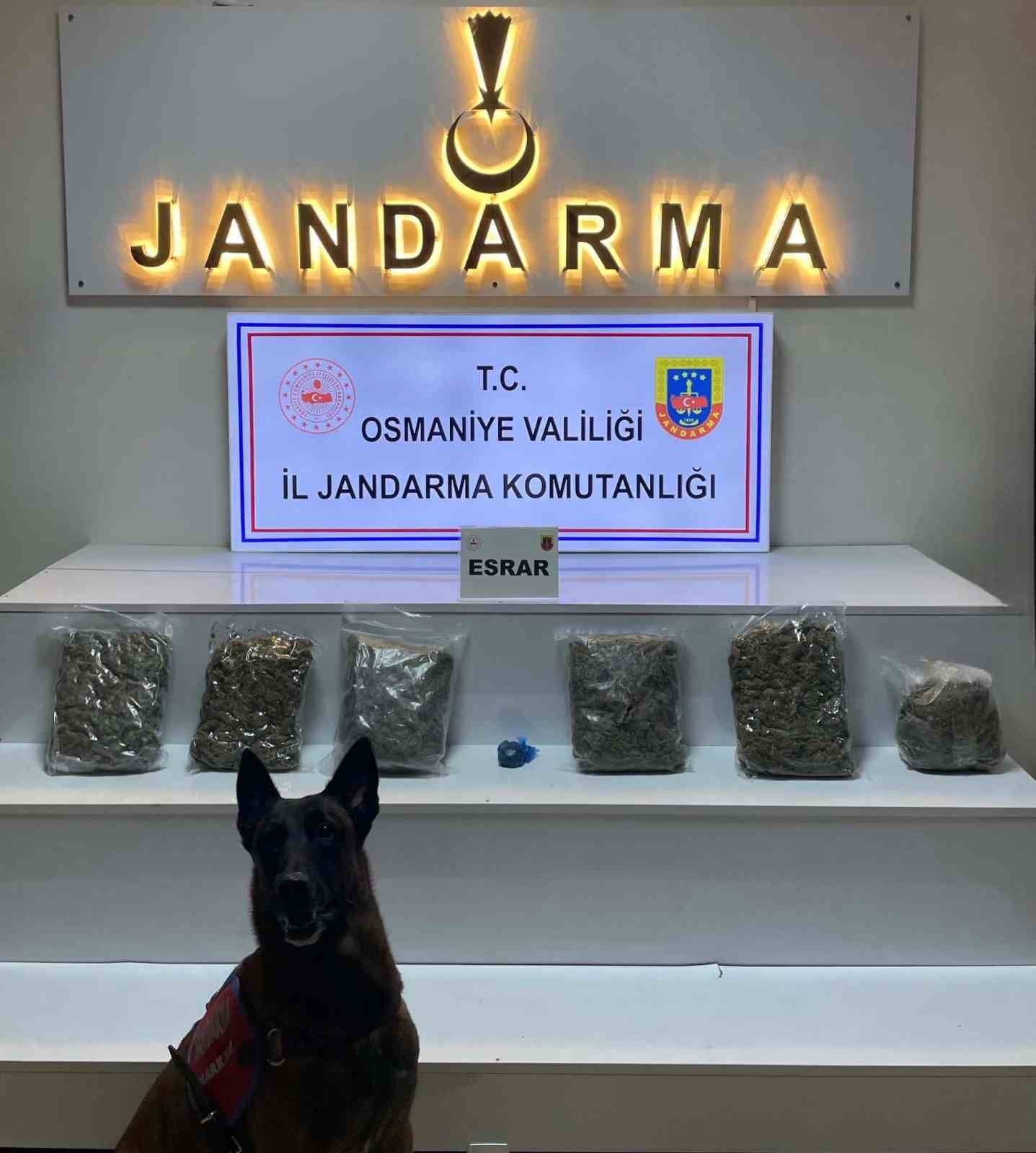 Osmaniye’de yayla evine uyuşturucu baskını: 3 tutuklama