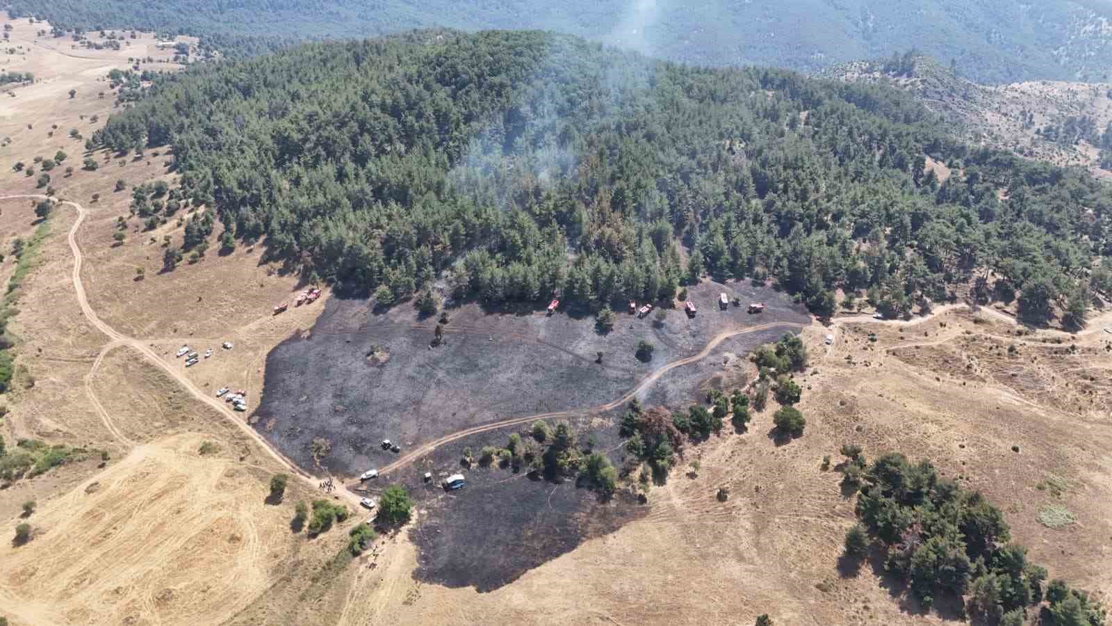 Osmaniye’de orman yangını kontrol altına alındı, soğutma çalışmaları sürüyor