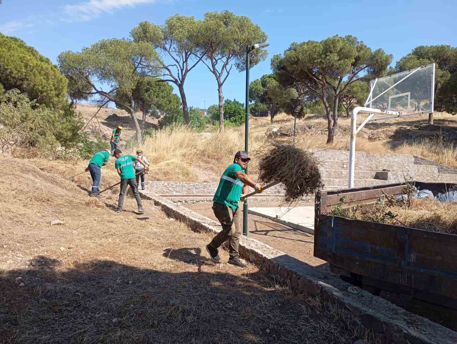 Yangınlara karşı Ayvalık’ta kuru ot temizliği aralıksız sürüyor
