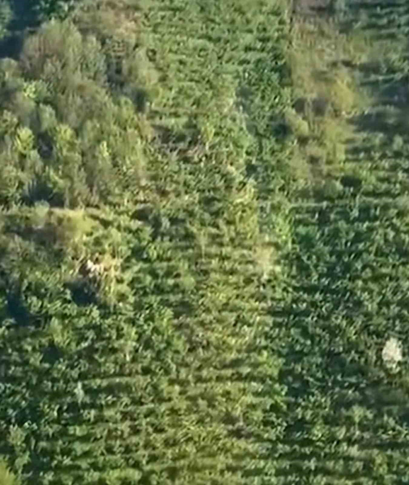 Y&uuml;zlerce metrelik yama&ccedil;tan b&ouml;yle yuvarlandı