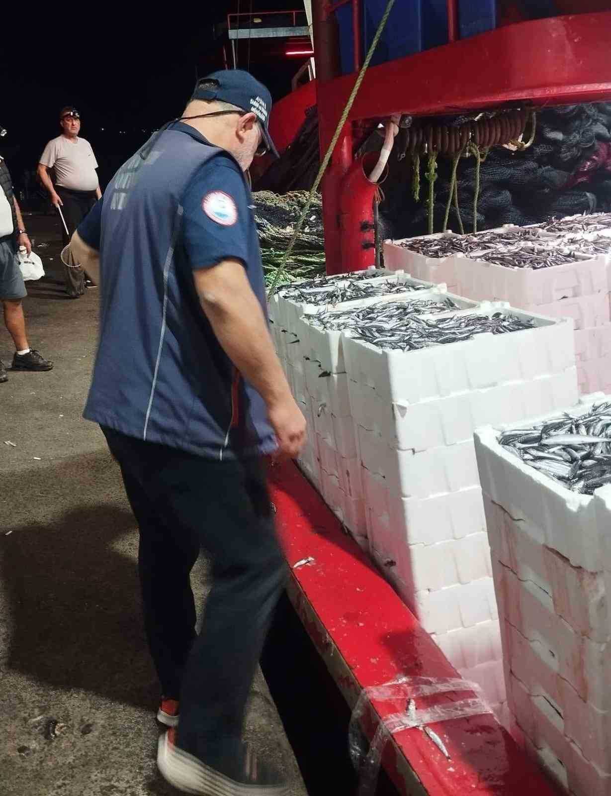 Didim&rsquo;de hamsi denetimi s&uuml;r&uuml;yor